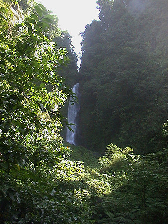 Dominica 11