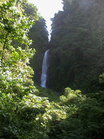 Dominica 12