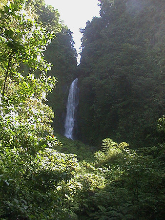 Dominica 12