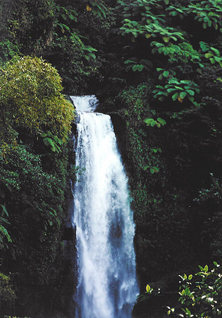 Dominica 4