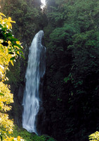 Dominica 5