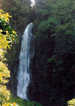 Dominica 5