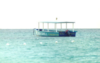 Jamaica 10