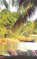 Jamaica 15