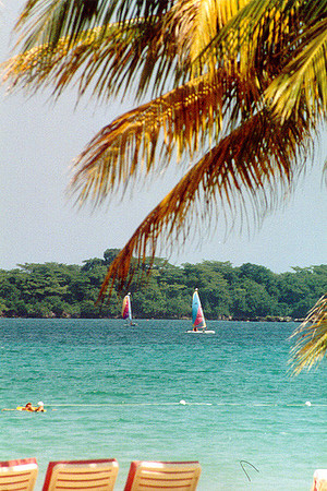 Jamaica 16