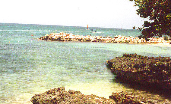 Jamaica 23