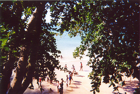 Jamaica 26