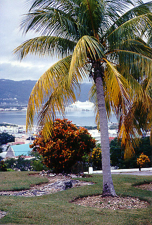 Jamaica  29