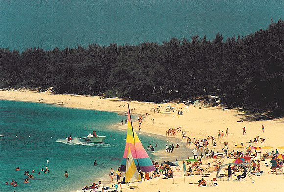 Jamaica 31