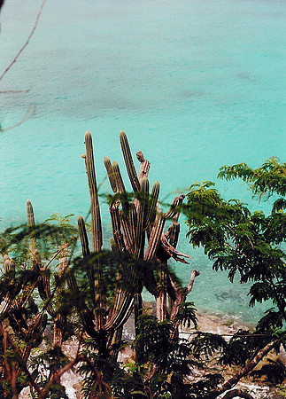 US Virgin Islands - St John 5