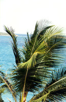 US Virgin Islands -  St Thomas 6