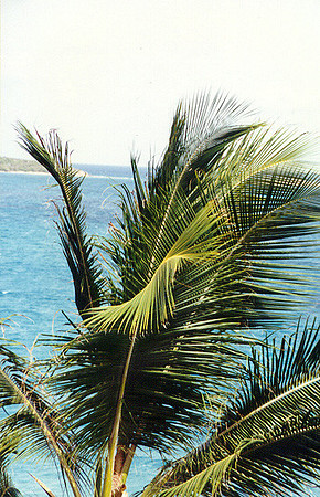 US Virgin Islands -  St Thomas 6