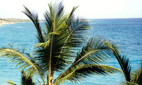 US Virgin Islands -  St Thomas 7