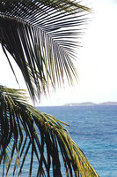 US Virgin Islands -  St Thomas 8