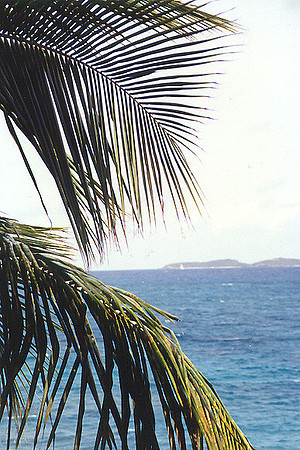 US Virgin Islands -  St Thomas 8