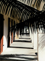 US Virgin Islands -  St Thomas 17
