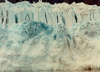 Glacier Bay 5