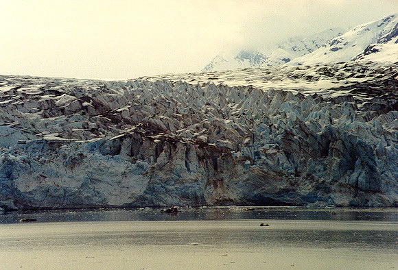 Glacier Bay 6