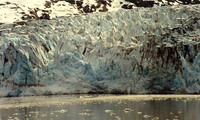 Glacier Bay 7