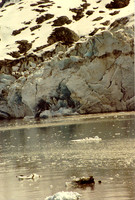 Glacier Bay 8