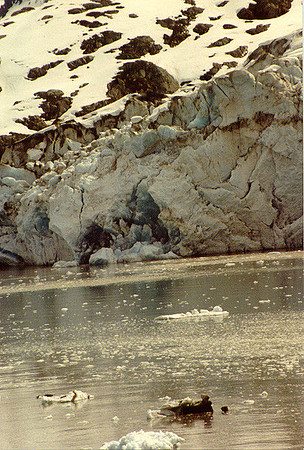 Glacier Bay 8