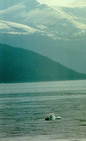 Inside Passage 3