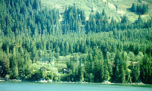 Juneau 4