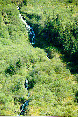 Juneau 5