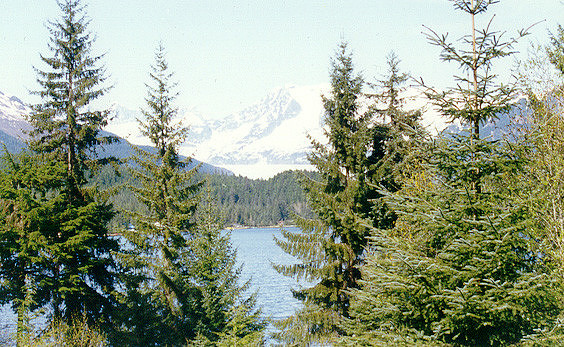 Juneau 3
