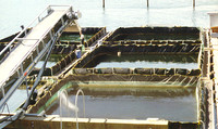 Salmon Hatchery. Juneau 2