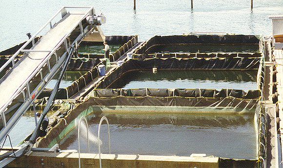 Salmon Hatchery. Juneau 2
