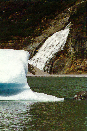 Juneau - Mendenhall Glacier