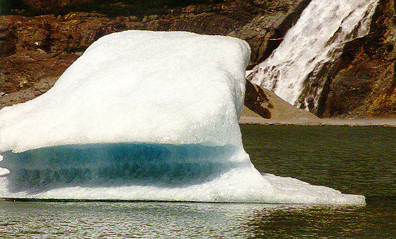 Juneau - Mendenhall Glacier
