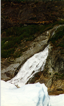 Juneau - Mendenhall Glacier 3