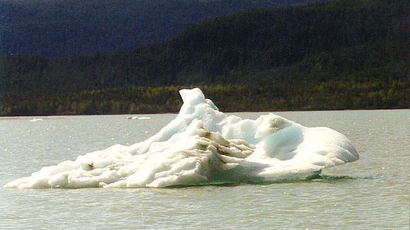 Juneau - Mendenhall Glacier 4