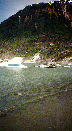 Juneau - Mendenhall Glacier 7