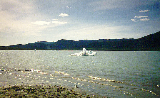 Juneau - Mendenhall Glacier 9