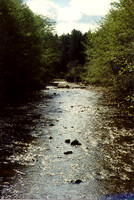 Sitka 5