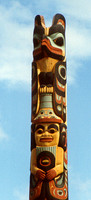Sitka 1