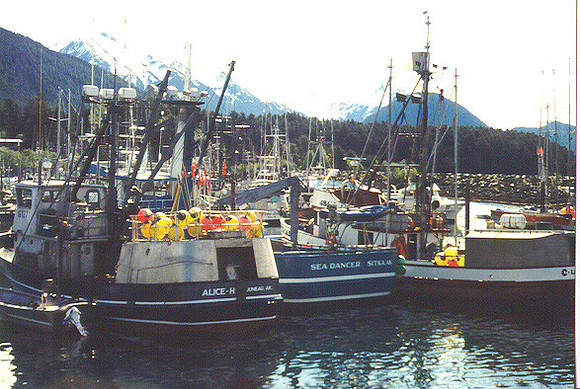 Sitka 3