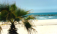 Los Angeles Beaches 3