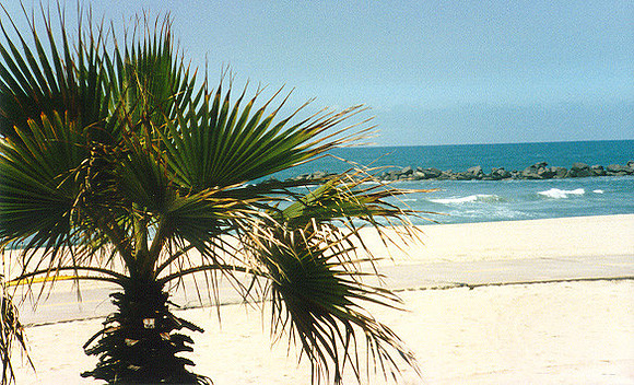 Los Angeles Beaches 3