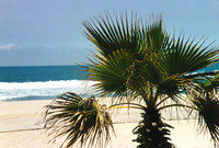 Los Angeles Beaches 4