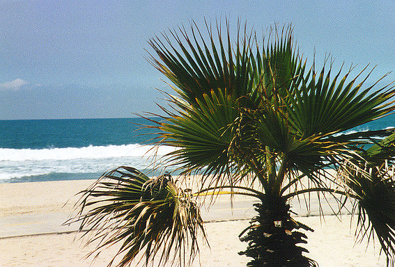 Los Angeles Beaches 4