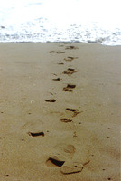 Los Angeles Beaches 2