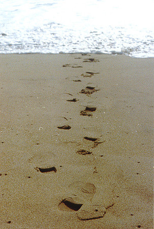 Los Angeles Beaches 2