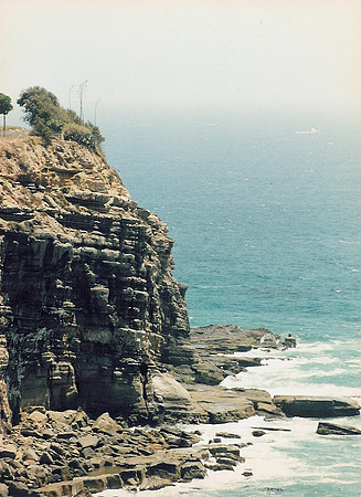 Los Angeles Coast 1