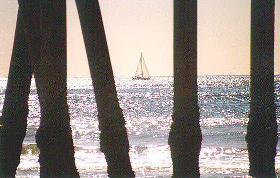 Under Venice Pier