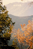 California