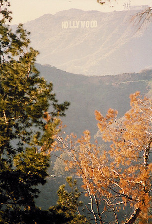 Hollywood Sign